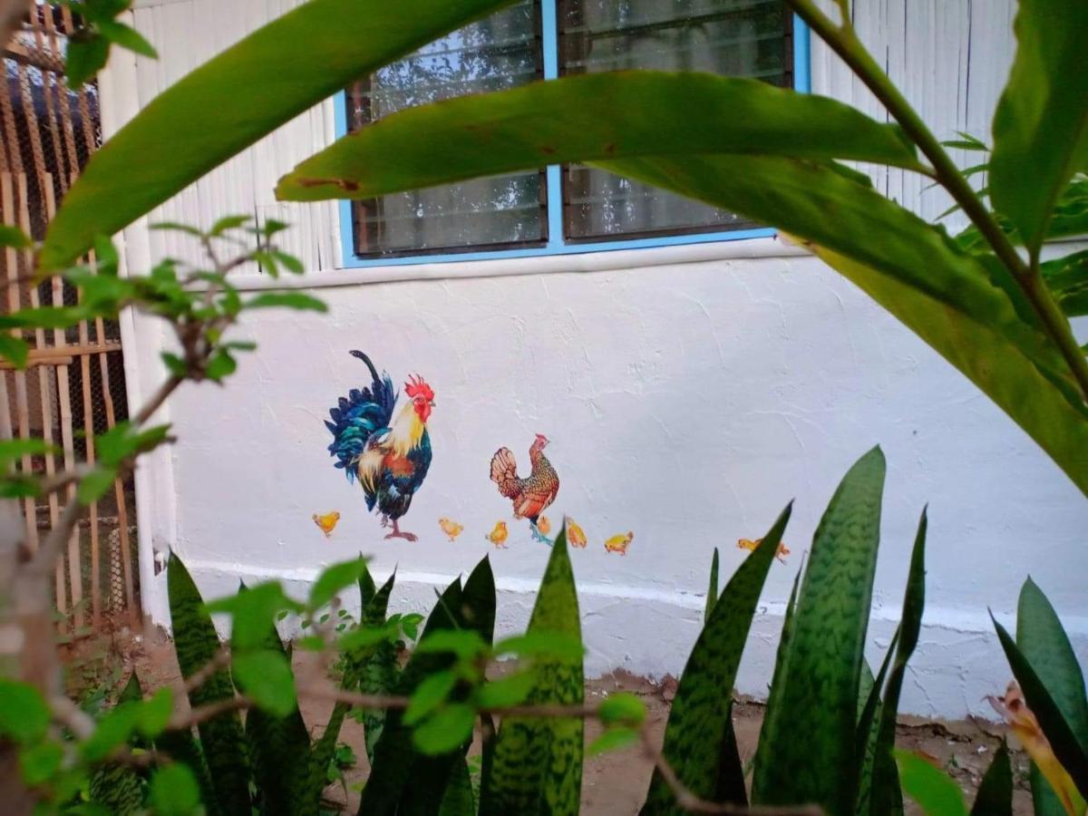 Willa Bueng Pai Farm บึงปายฟาร์ม Zewnętrze zdjęcie